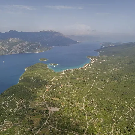 Divna And Apartament *