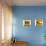 Divna And Račišće